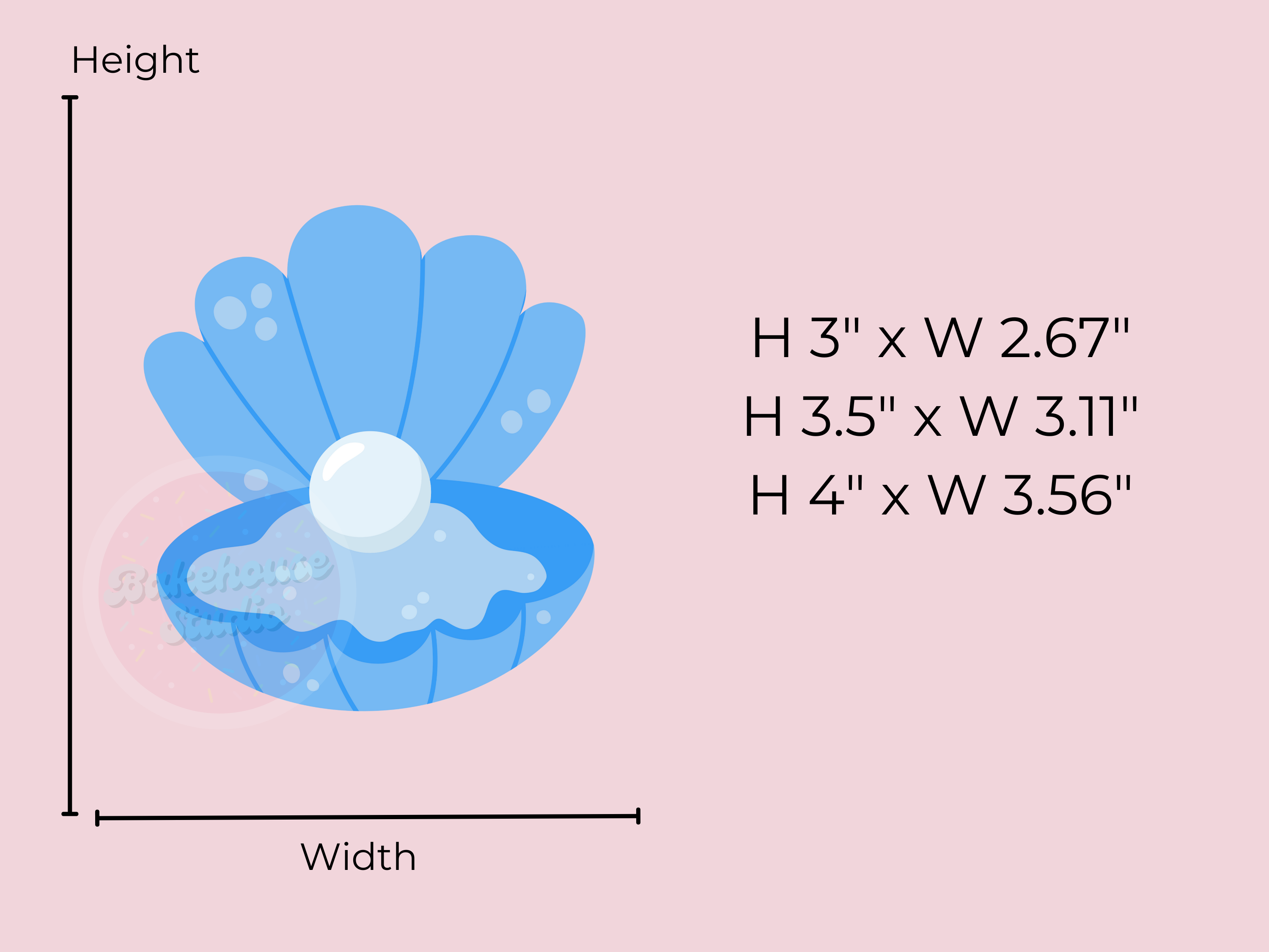 1103 Clam Shell Cookie Cutter
